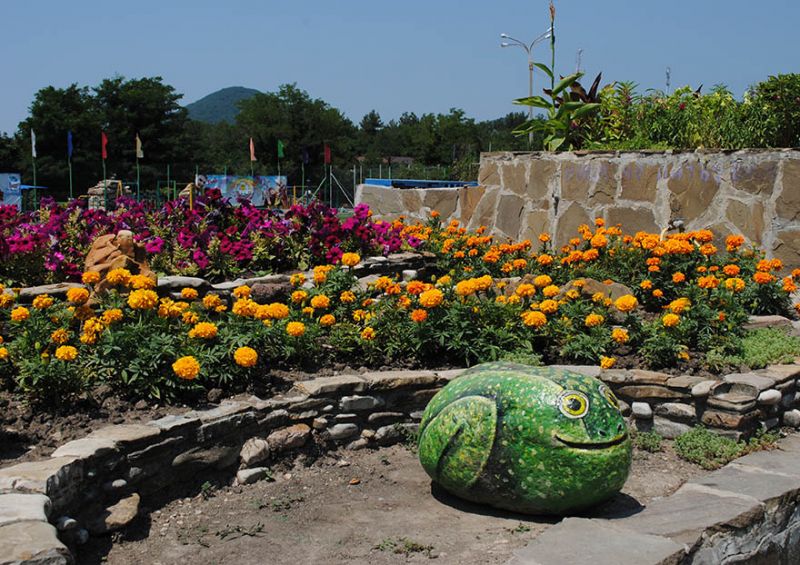 Пансионат "Шахтинский текстильщик"